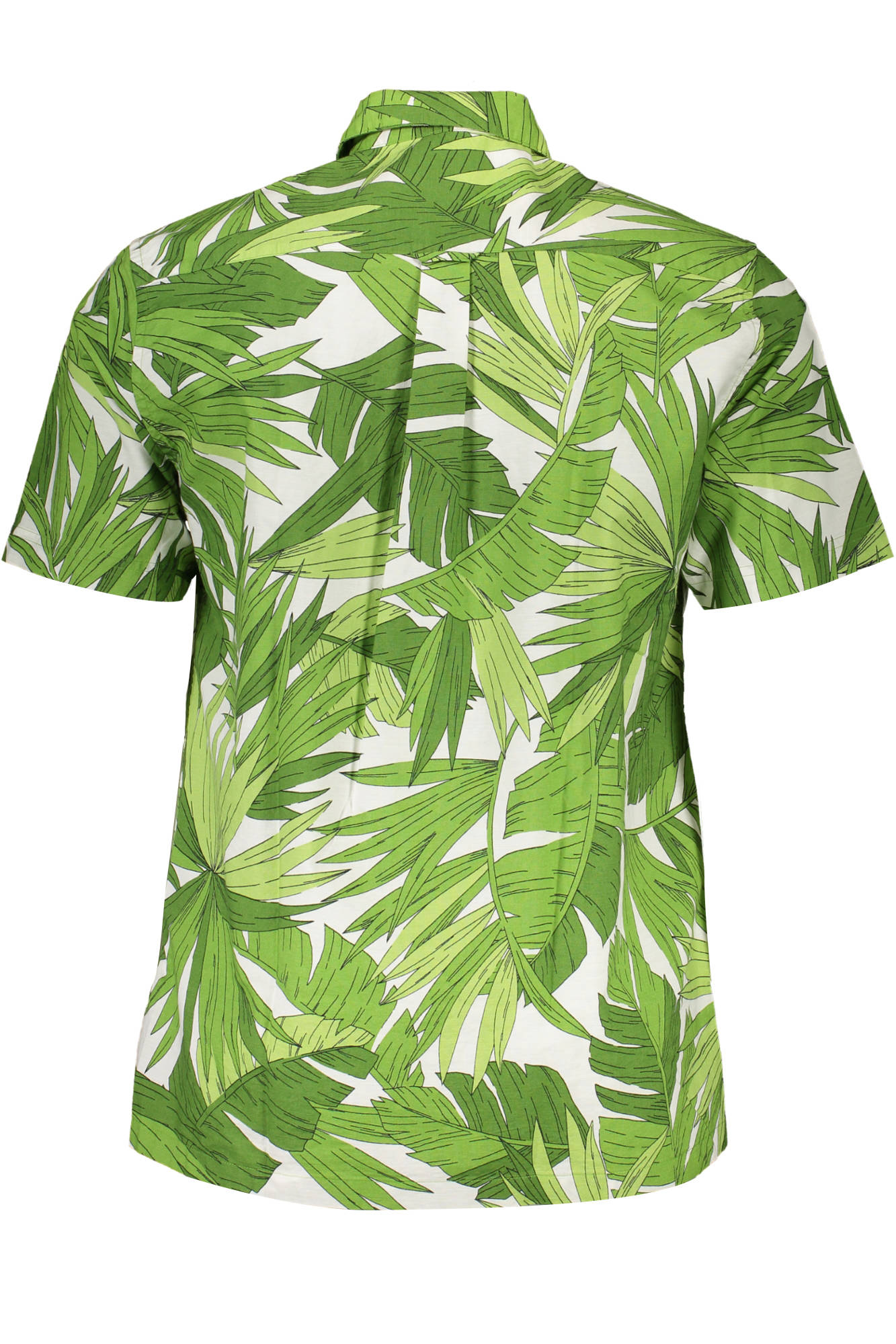 GANT CAMICIA MANICHE CORTE UOMO - Verde - immagine 2