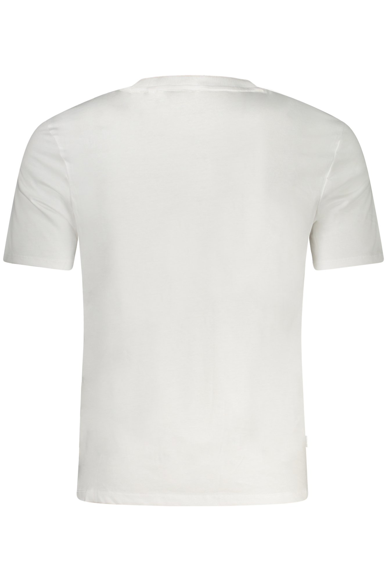 GUESS JEANS T-SHIRT MANICHE CORTE UOMO - Bianco - immagine 2