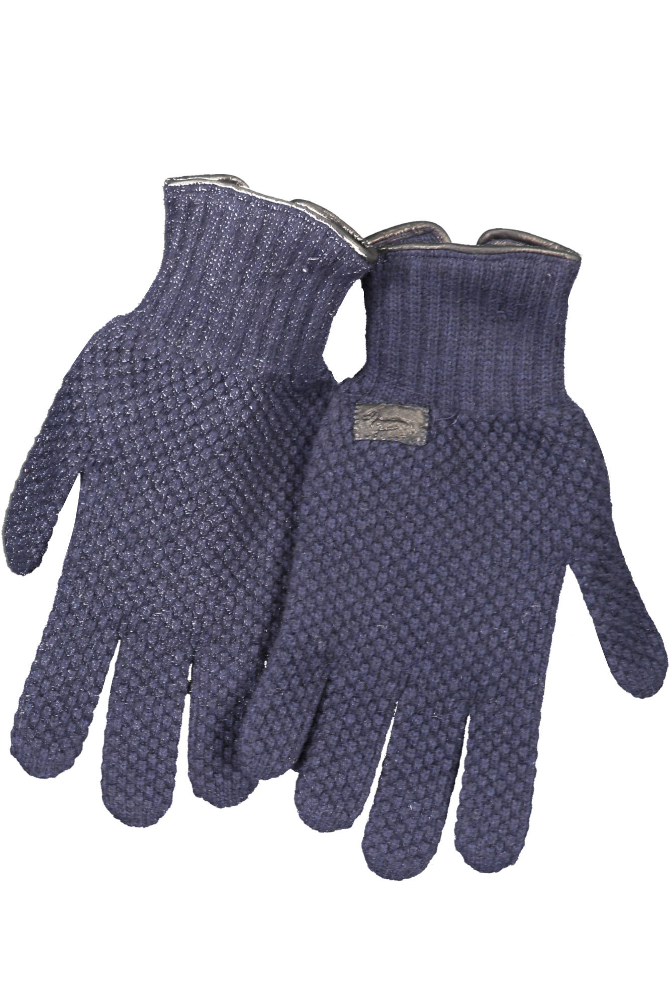 HARMONT & BLAINE GUANTI UOMO - Blu