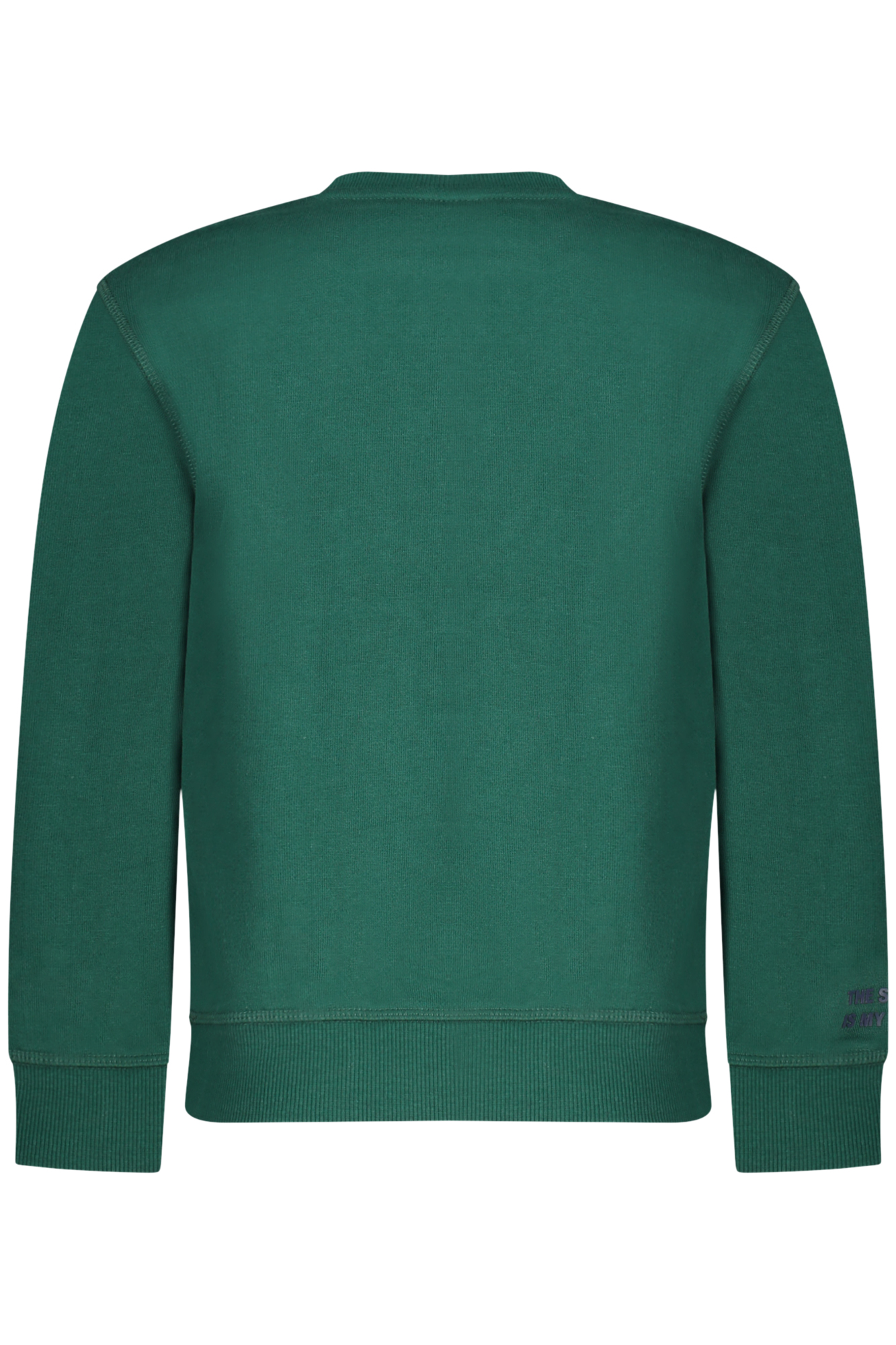 NORTH SAILS FELPA SENZA ZIP BAMBINO - Verde - immagine 2