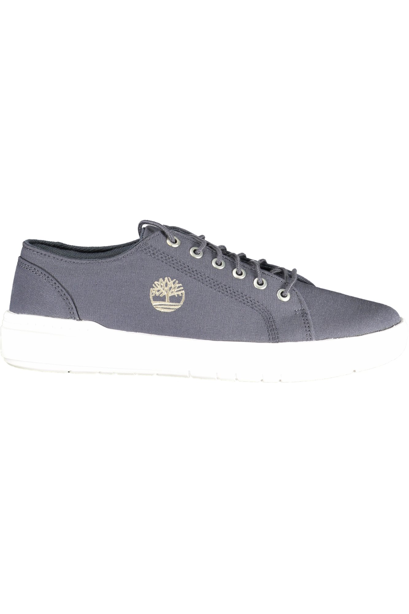 TIMBERLAND CALZATURA SPORTIVA UOMO - Blu