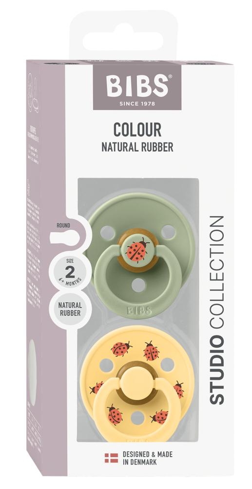 Colour Studio 2 ciucci in lattice taglia 2 Ladybug/Sage Mix - immagine 2